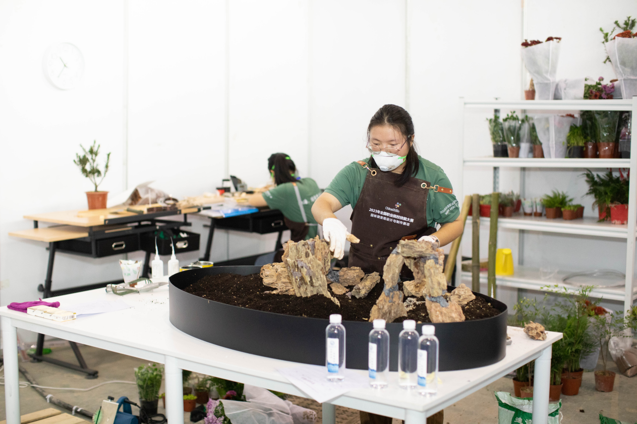 1707272239631282.png 1707272239631282.png